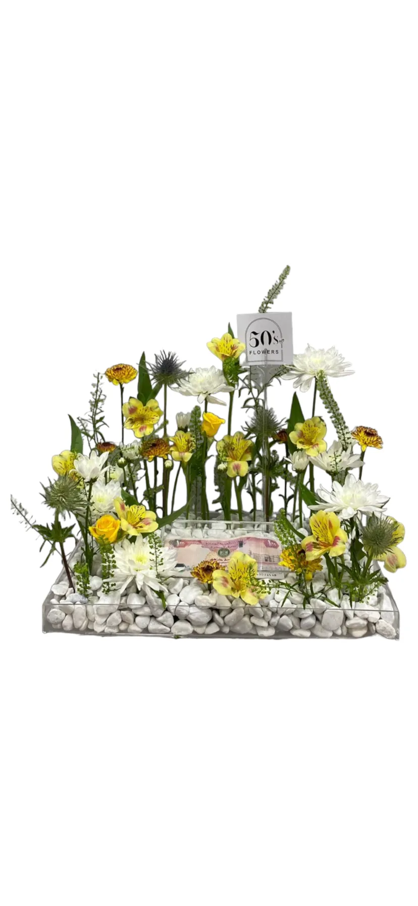 11zon_Photoroom_20240802_113919.webp Yellow serenity - Image 1