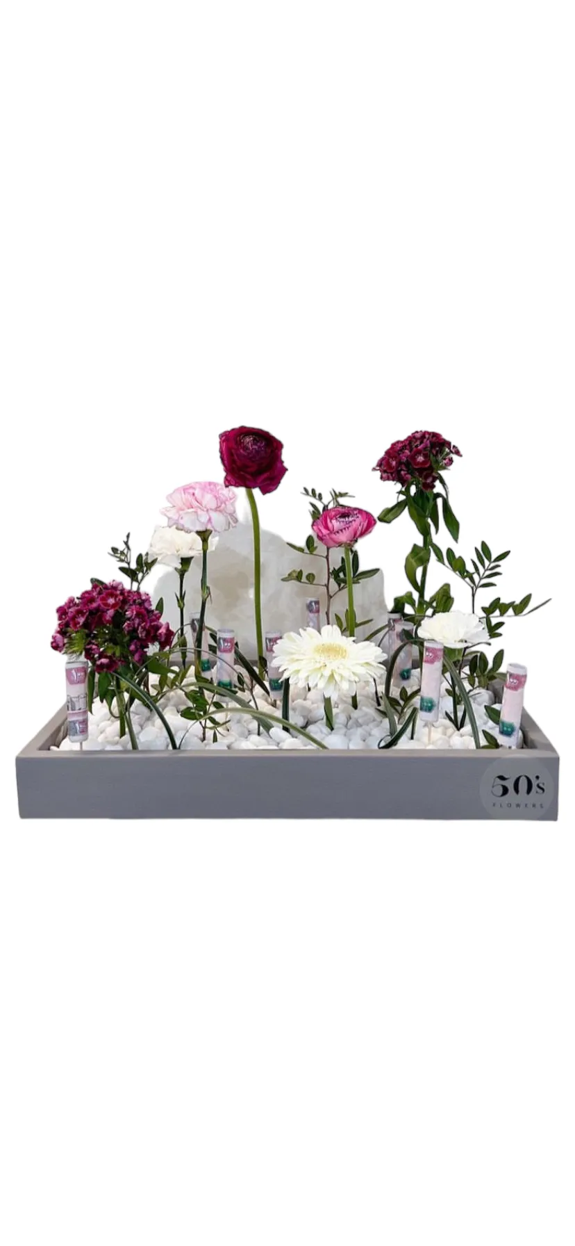 11zon_Photoroom_20240802_114455.webp tray - Image 1