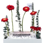 Red tray