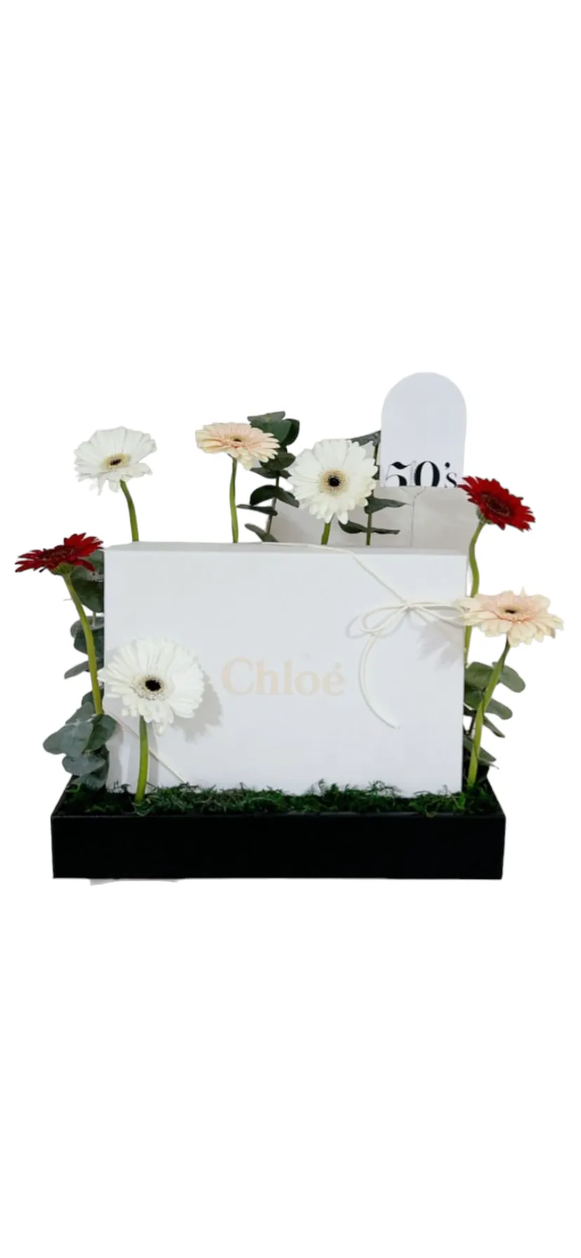 11zon_Photoroom_20240802_114724.webp tray - Image 1