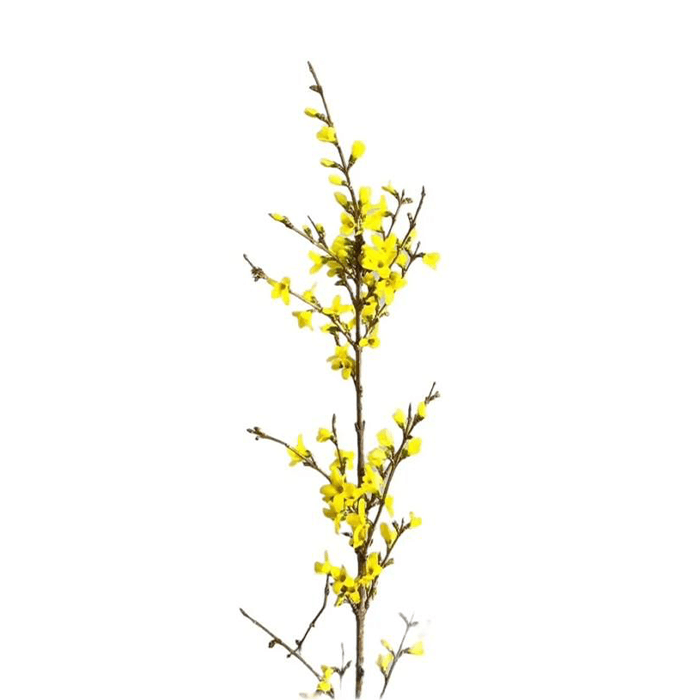 22.png Flowers - Image 1