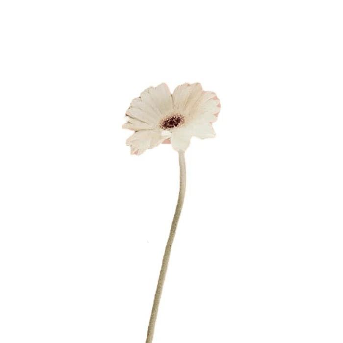 30.png Flowers - Image 1