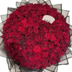 Scarlet Embrace 200 roses