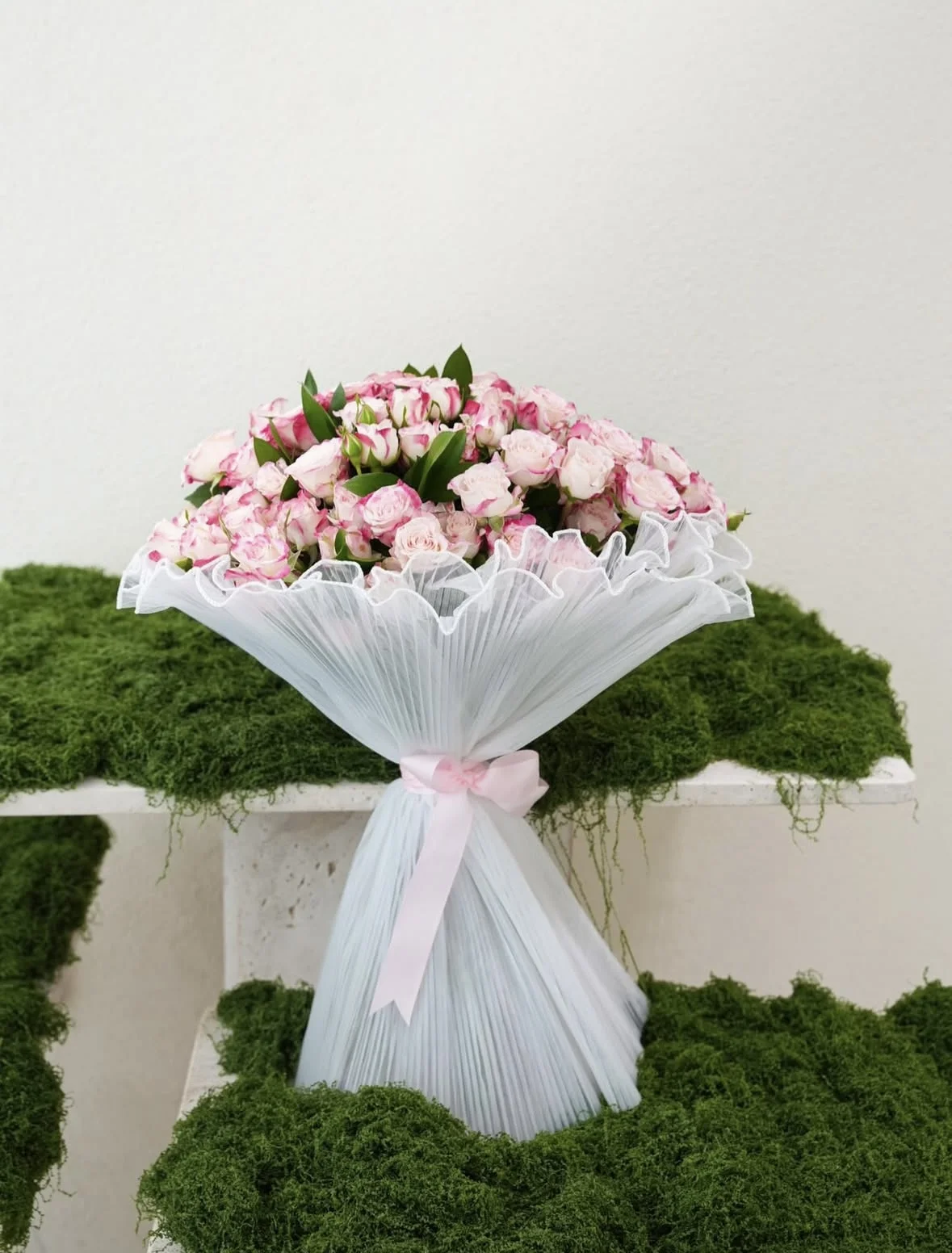 IMG_6327.webp A Whisper of Pink Haze - Image 1