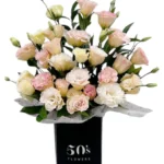 Soft Peach Roses