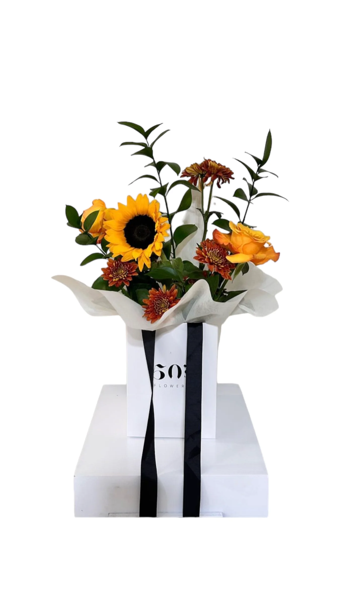 Photoroom_20240801_015344.webp Apricot Aura - Image 1