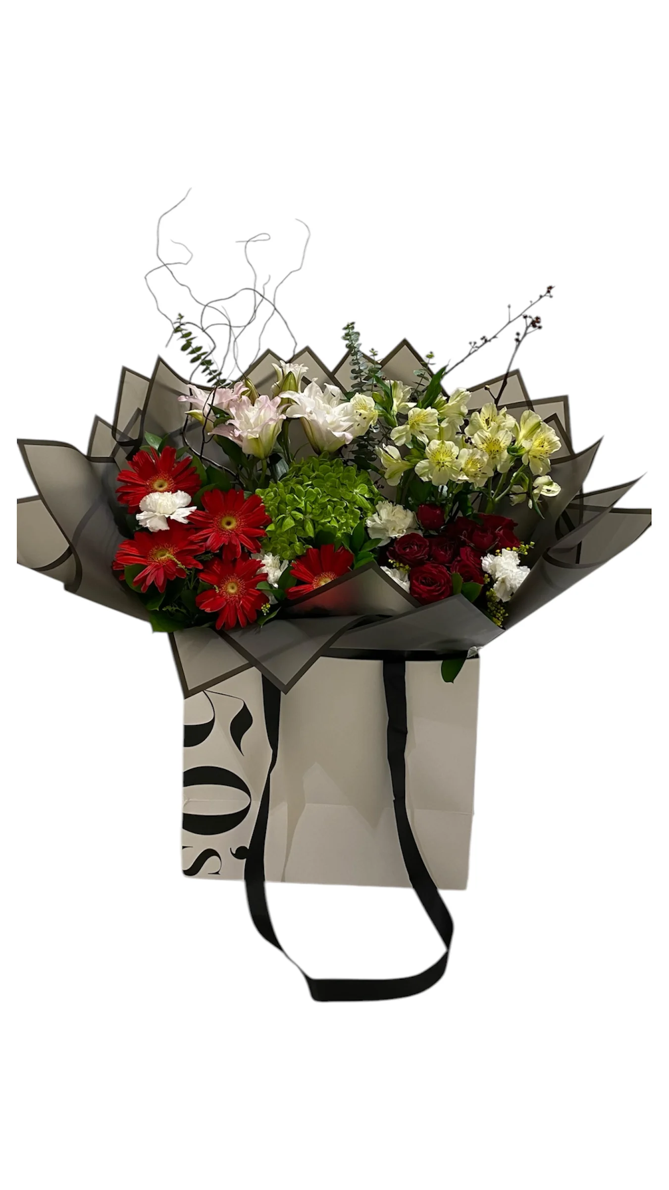 Photoroom_20241210_171501.webp bag - Image 1