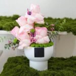 Butterfly Rose Vase