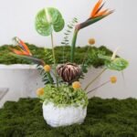 Bird of Paradise vase